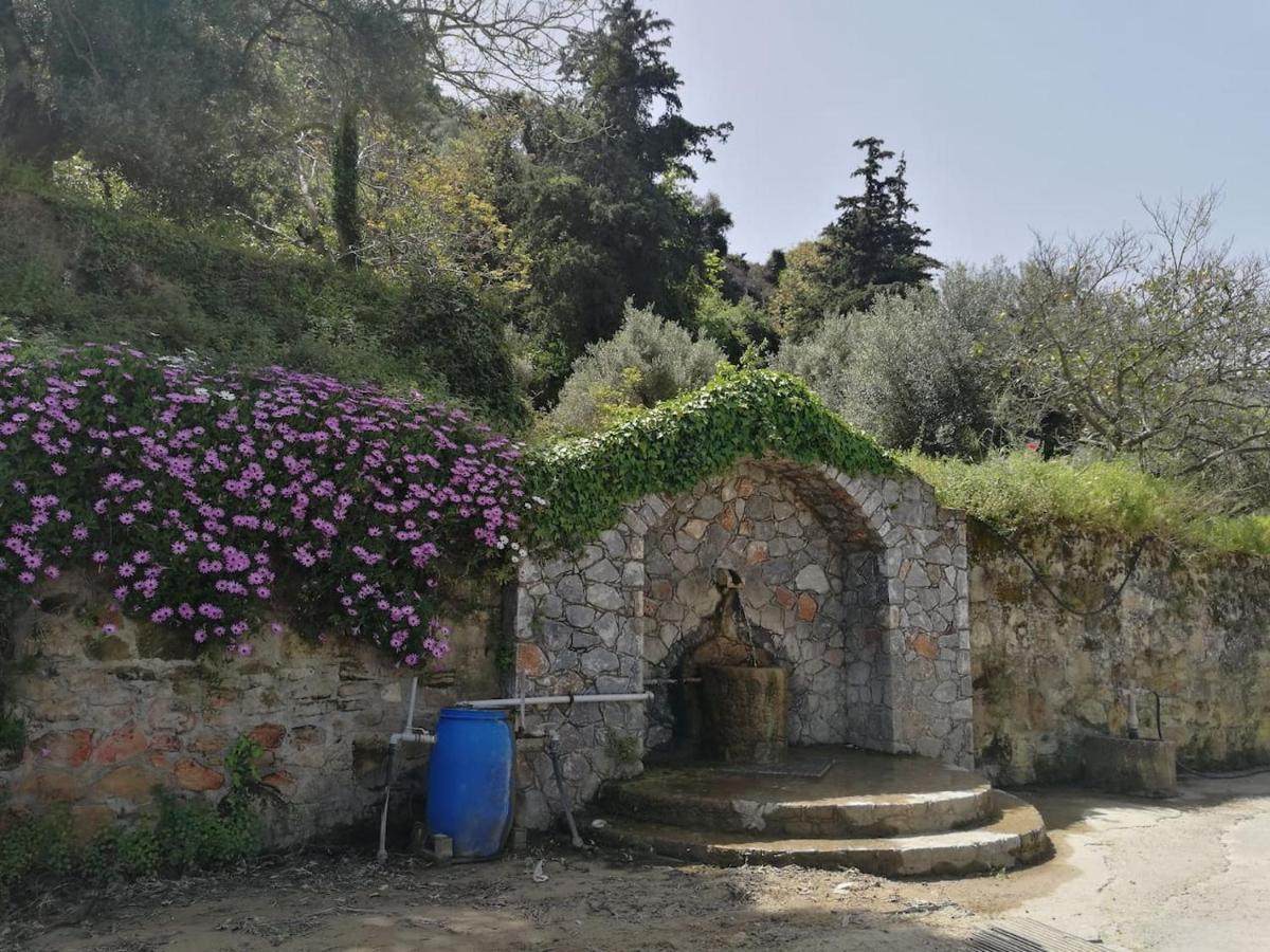 Batilas Garden House Kíssamos Dış mekan fotoğraf